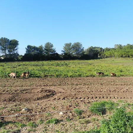 Farm stay Podere San Giorgio *